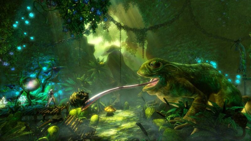 Trine 2 : voyage enchanteur sur Wii U