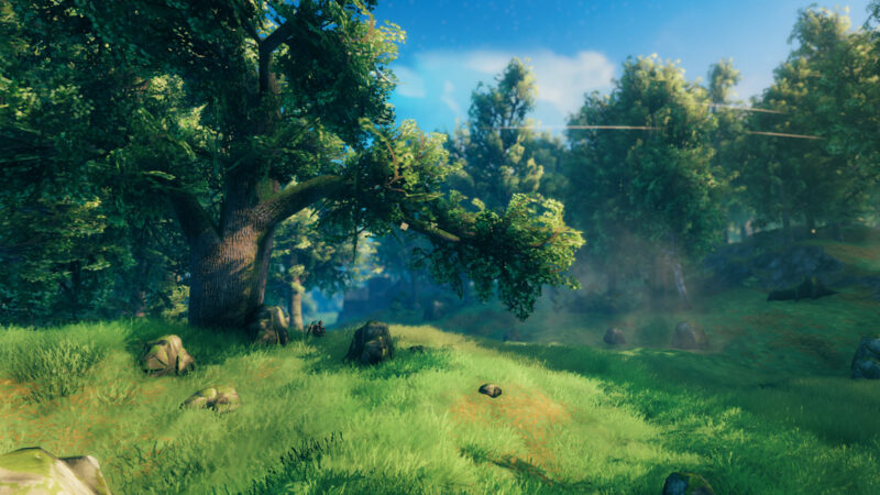 Valheim : un million de joueurs en une semaine